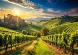 Explore the Enchanting Vineyards of Little Jonathan Winery