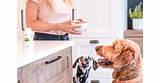Meet Your Pet's New Best Friend for Optimal Well-Being