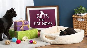 The Ultimate Guide to Finding the Purrfect Gift for Your Veterinarian